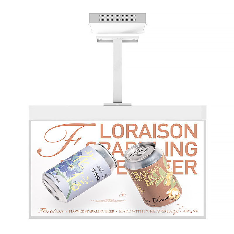 30 55inch Ceiling Mounted OLED Transparent Screen