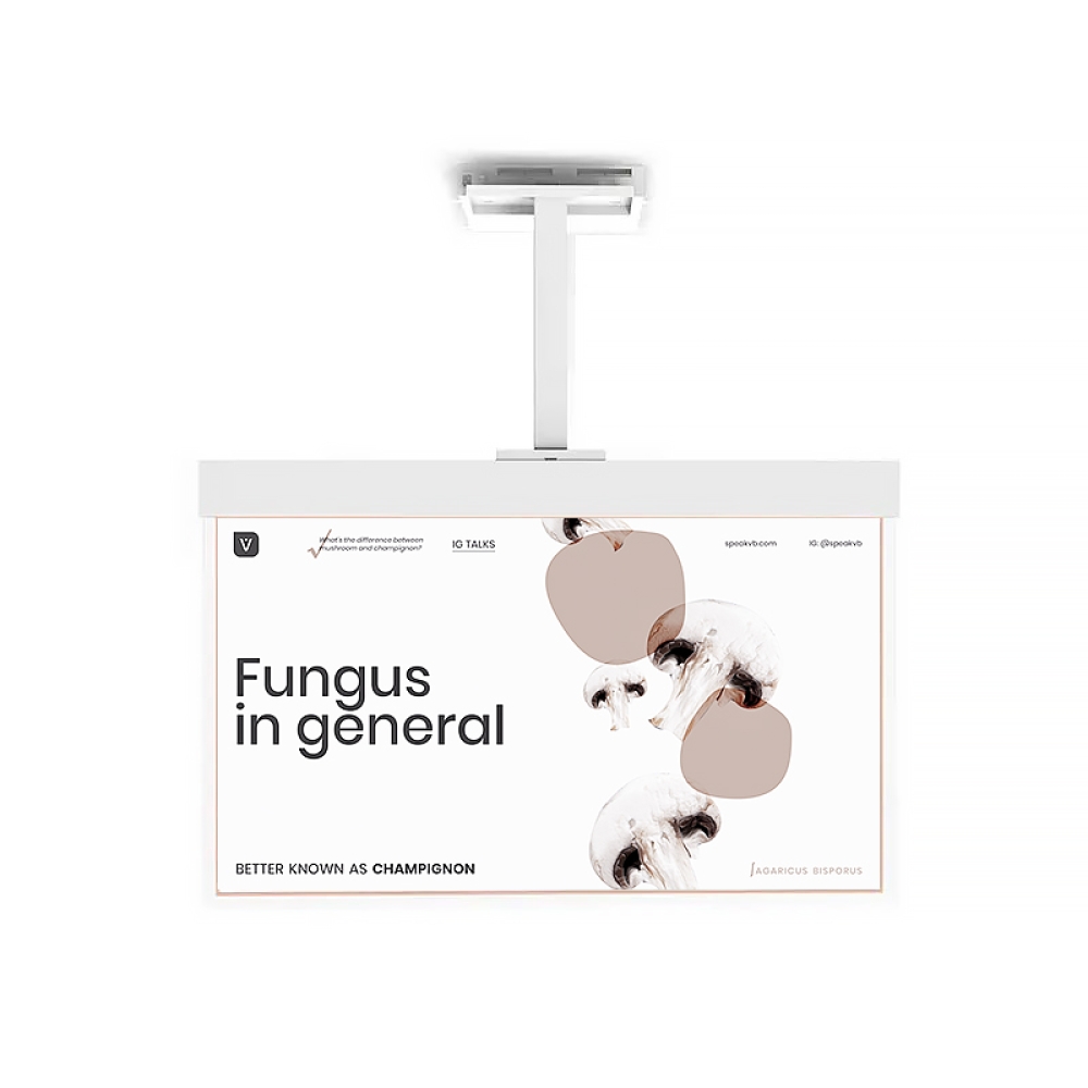 30 55inch Ceiling Mounted OLED Transparent Screen